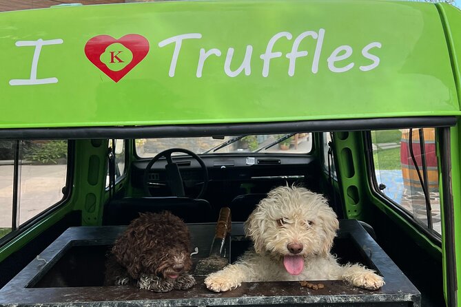 Private Truffle Hunting With Cooking Session - Meeting and Pickup