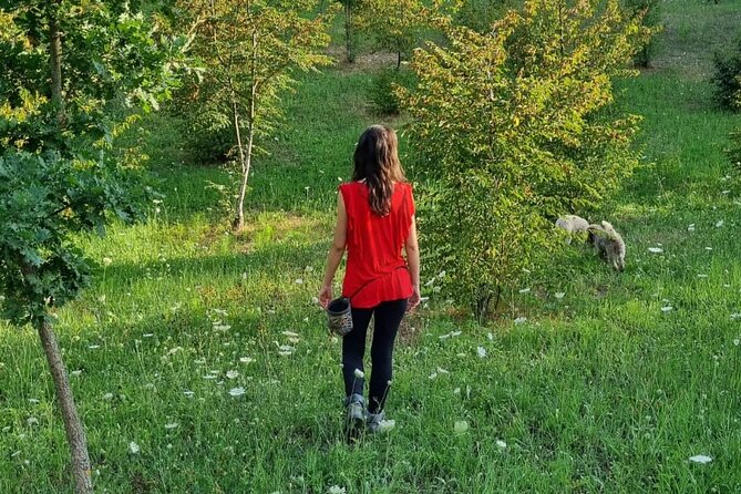 Private Truffle Hunting With Tasting : Become a Truffle Hunter Foa a Day! - Meeting and Pickup