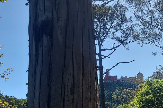 Private Tuk Tuk Tour Around Magical Sintra and Coastline - Additional Information