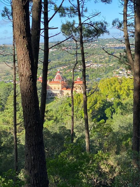 Private Tuk Tuk Tour Around Sintra - Entry Fees and Flexibility