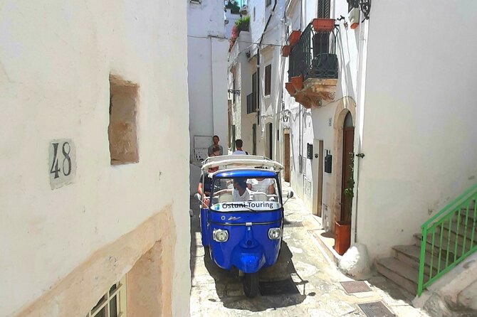 Private Tuk Tuk Tour of the Ancient Village - Professional Driver and Private Transportation