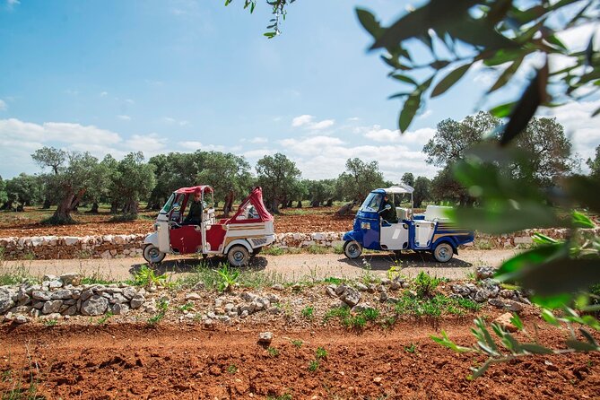 Private Tuk Tuk Tour of the Millenary Olive Groves in Ostuni - About Your Stay