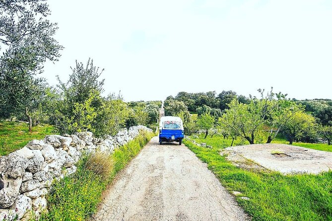 Private Tuk Tuk Tour of the Millenary Olive Groves in Ostuni - Pricing and Availability
