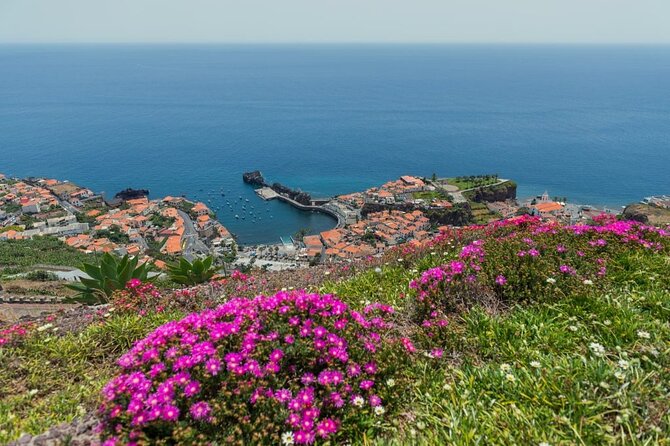 Private Tuk Tuk Tour on Câmara De Lobos, Fishing Village - About Your Stay