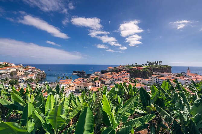 Private Tuk Tuk Tour on Câmara De Lobos, Fishing Village - Pickup and Dropoff Details