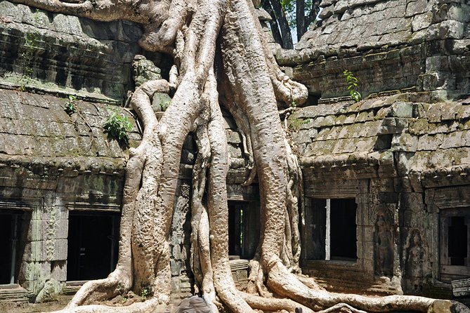 Private Tuk Tuk Tour To Angkor Wat And Small Circle With Two Extras - Additional Temple Stops