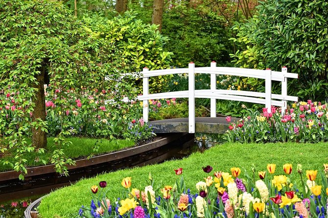 Private Tulip Fields, Windmills and Cheese Tour From Amsterdam - Inclusions