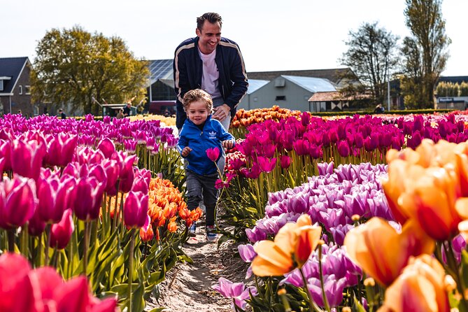 Private Tulip Fields, Windmills and Cheese Tour From Amsterdam - Pricing and Cancellation Policy