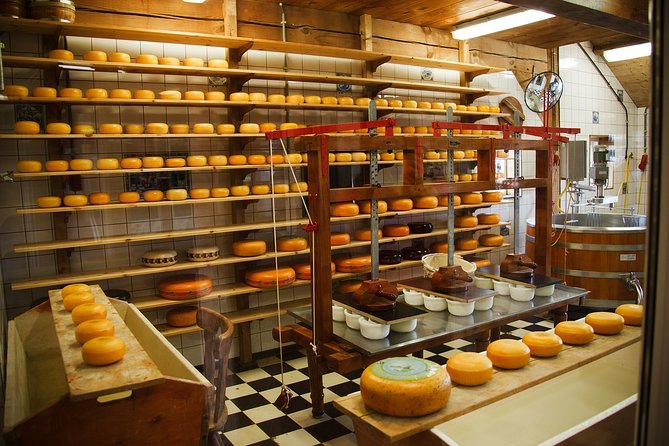 Private Tulip Fields, Windmills and Cheese Tour From Amsterdam - Tour Highlights