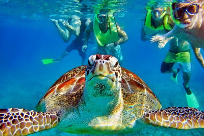 Private Tulum Mayan Ruins & Swimming With Turtles Experience - Pickup and Transportation Details