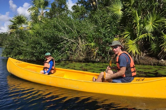 Private - Tulum Ruins and 3 Cenotes Jungle Adventure - Customer Feedback and Experience