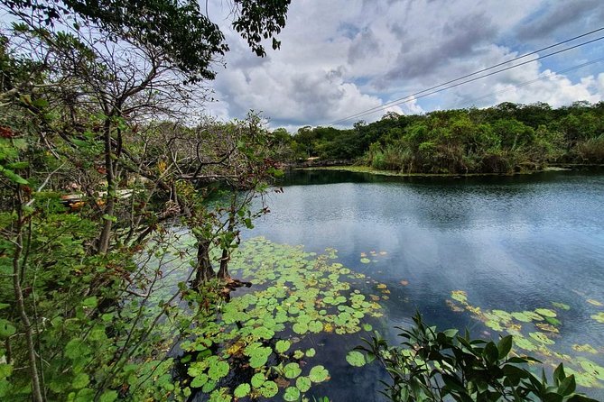 Private - Tulum Ruins and 3 Cenotes Jungle Adventure - Price Variation