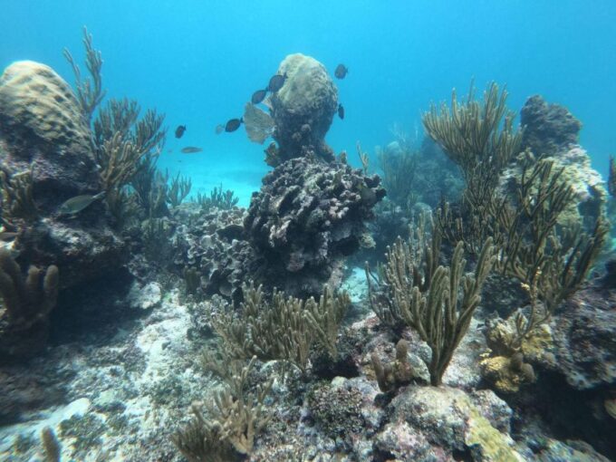 PRIVATE TULUM RUINS SNORKEL SAILING CENOTE - Frequently Asked Questions