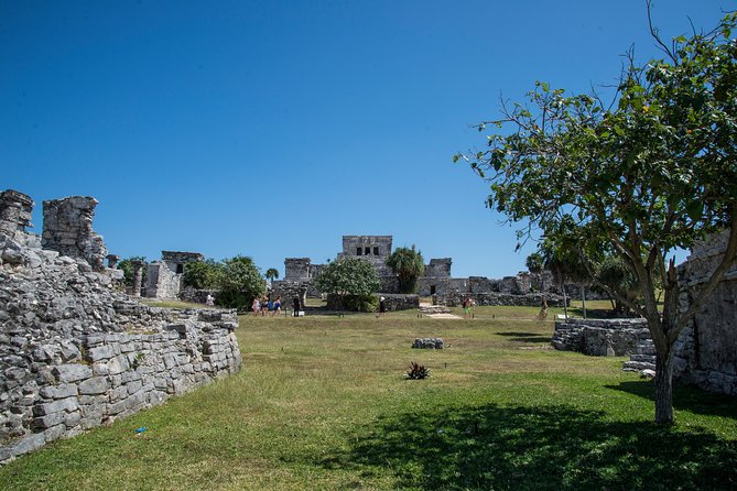 Private Tulum Ruins, Turtles in Akumal and Cenote Adventure - Xtun Cenote Snorkeling