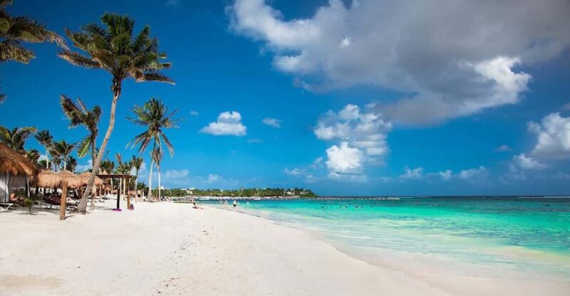 Private Tulum+ Turtles & Cenote & Lunch Transfer Included) - Inclusions