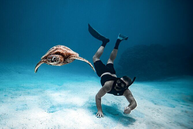 Private Turtle and Ray Tour Rarotonga - Who Will Love This Tour?