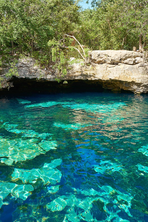 Private Turtle & Cenote Express (Included Transportation) - Experience Highlights