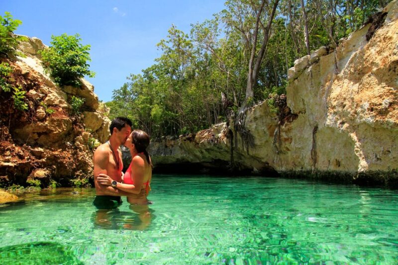 Private Turtle & Cenote Express (Included Transportation) - Additional Information
