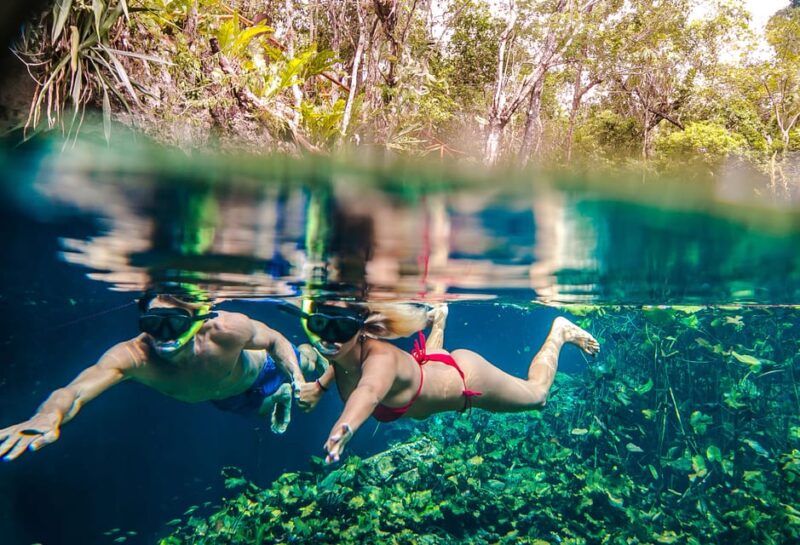 Private Turtle & Cenote Express (Included Transportation) - Safety and Comfort