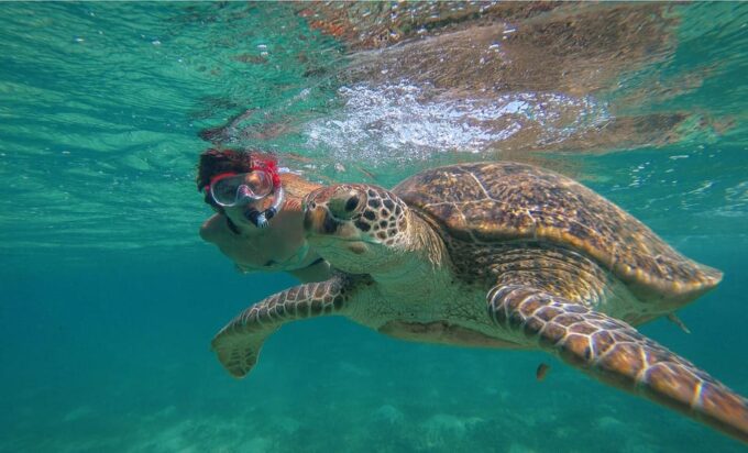 Private Turtle & Cenote Express (Included Transportation) - Exploring the Cenote
