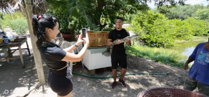 *Private Turtle Hatching 3 Palos Lagoon & Crocs Farm & Lunch - Inclusions and Participants