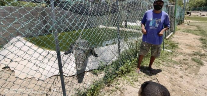 *Private Turtle Hatching 3 Palos Lagoon & Crocs Farm & Lunch - Frequently Asked Questions
