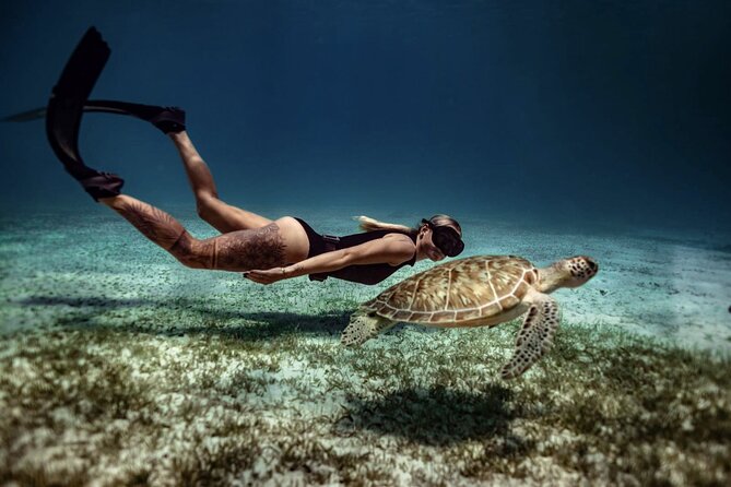 Private Turtle Spotting Snorkeling Excursion in Aruba - About Your Stay