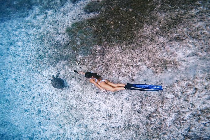Private Turtle Spotting Snorkeling Excursion in Aruba - Personalized Guidance and Attention