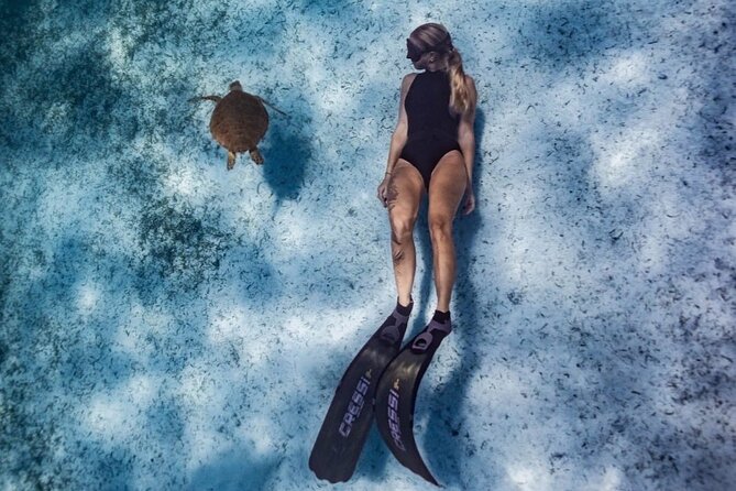 Private Turtle Spotting Snorkeling Excursion in Aruba - Underwater Scooters for Added Adventure