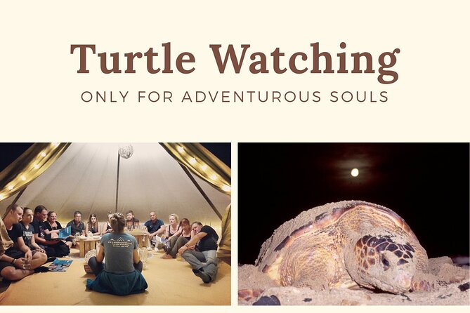 Private Turtle Watching Experience - Sustainability and Conservation