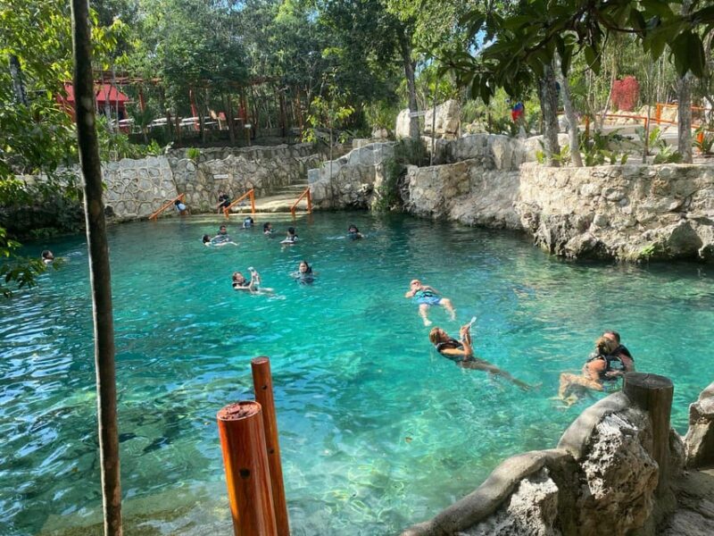 Private Turtles+ ATV Single & Cenote (Transfers Included) - Inclusions in the Tour