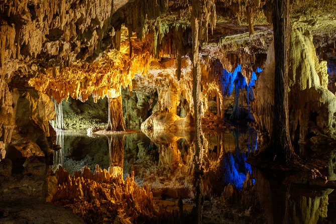 Private Turtles & Cenotes Adventure - Exclusions and Additional Costs
