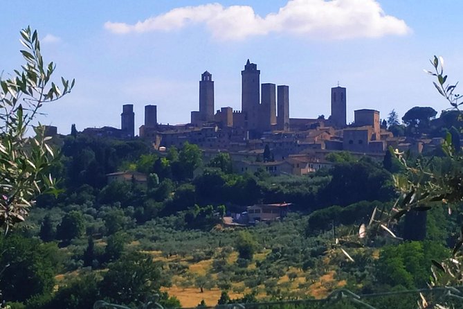 Private Tuscan Cooking Class and Wine Tasting in Radda in Chianti With Giorgia - Convenient Location in Chianti