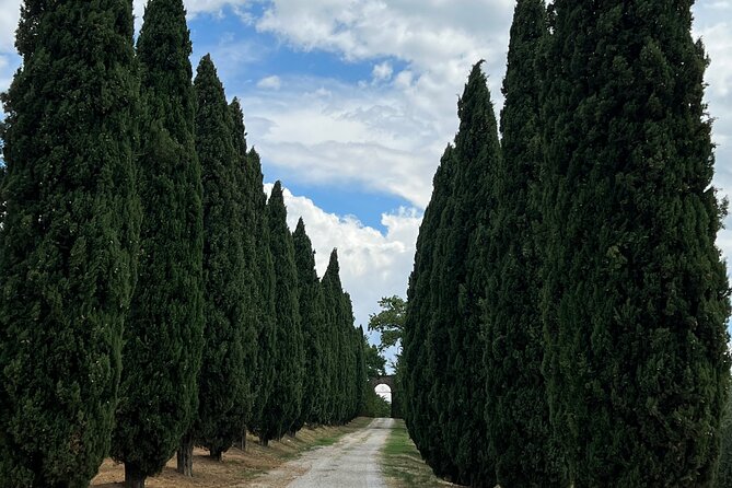 Private Tuscan Tour With Love - Tailoring the Experience to You