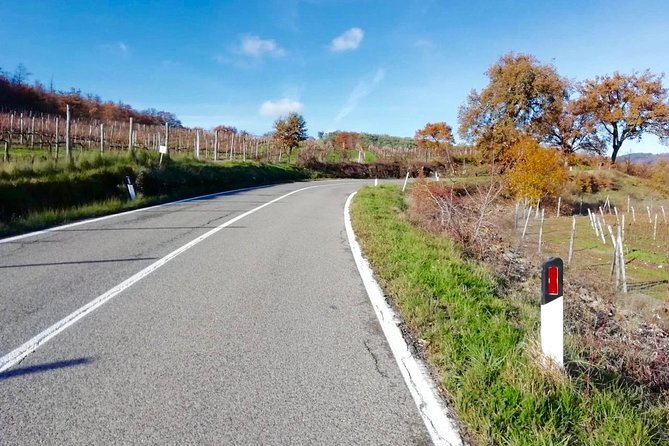 Private Tuscany Cycling Tour From Florence - Picturesque Landscapes