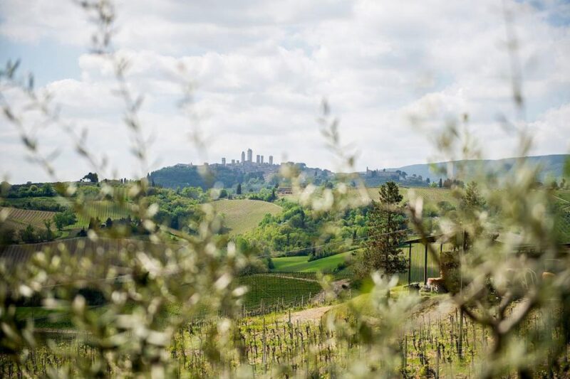 Private Tuscany Tour to Siena and San Gimignano With Lunch - Inclusions and Accessibility