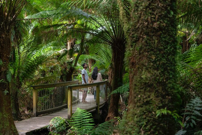 Private Two Day Great Ocean Road Tour - Overnight Stay