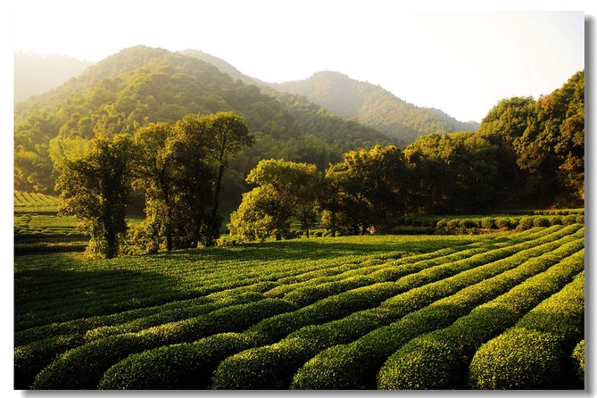 Private Two Days Hangzhou Highlights Tour - Soul of Hangzhou - Cultural Exploration