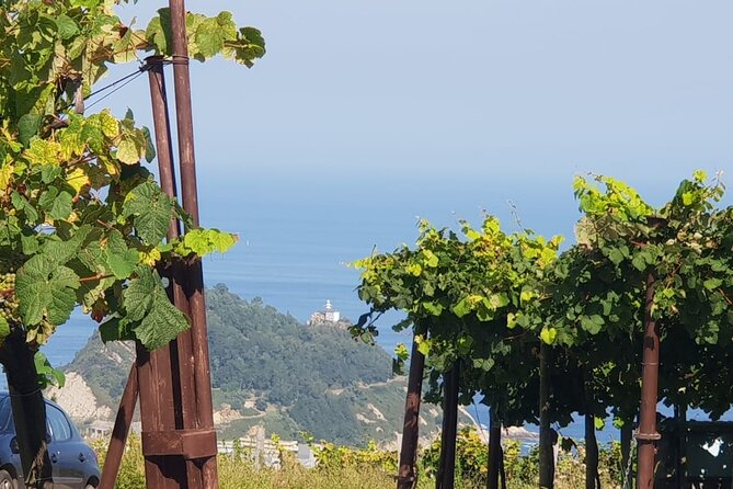 Private Txakoli Winery Tour With Tastings in Getaria - Discovering Getarias Charm