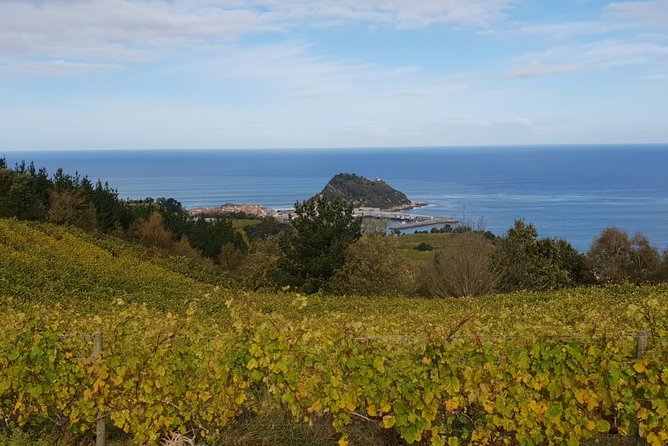 Private Txakoli Winery Tour With Tastings in Getaria - Private Tour Highlights