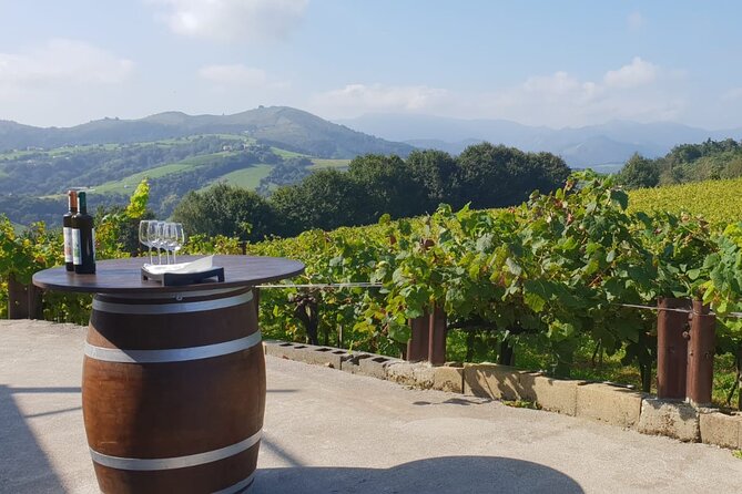 Private Txakoli Winery Tour With Tastings in Getaria - Accessibility and Inclusions