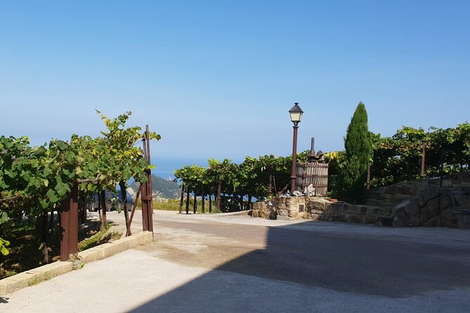 Private Txakoli Winery Tour With Tastings in Getaria - Booking and Cancellation Policy