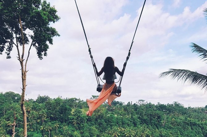 Private Ubud and Volcano Day Trip - Inclusions and Transportation