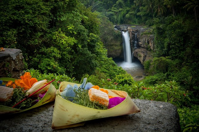 Private Ubud Day Tour - Inclusions