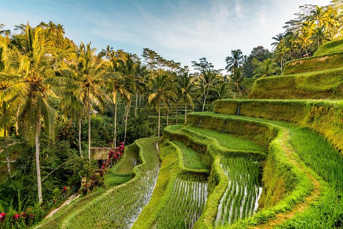 Private Ubud Day Tour - Tour Details