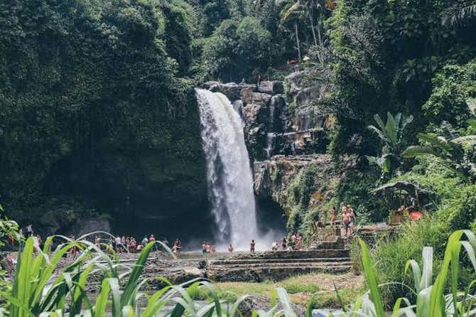 Private Ubud Day Tour - Booking Information