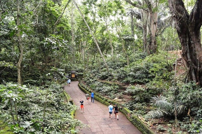 Private Ubud Day Tour - Pickup Information