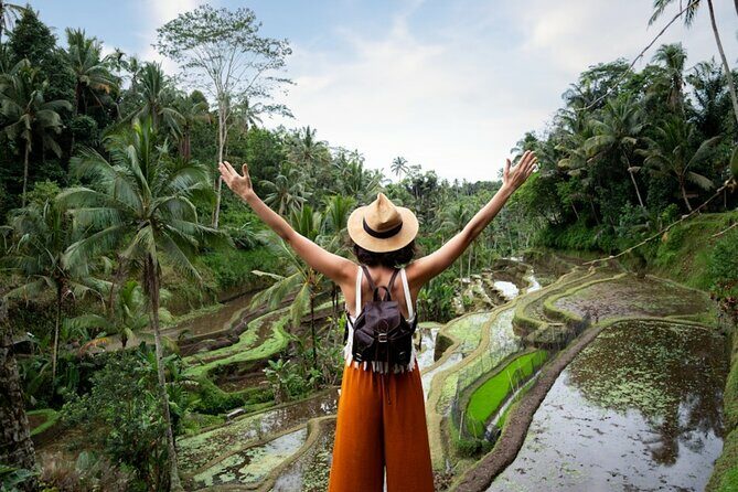 Private Ubud Day Tour Waterfalls Sacred Monkeys and Rice Fields - What You Can Expect From This Full-Day Bali Adventure