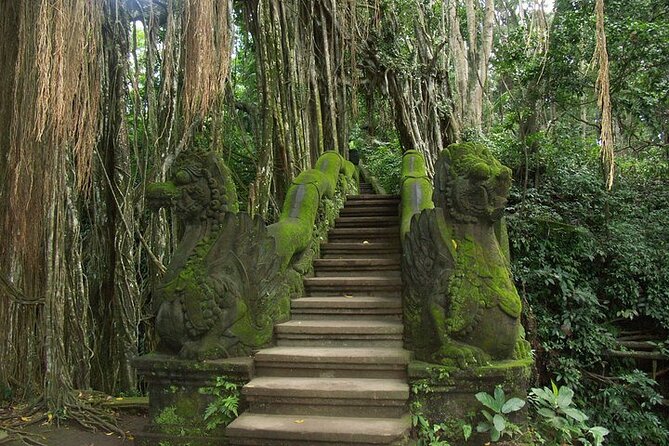Private Ubud Tour and Volcano Kintamani Trip Review - Participant Criteria