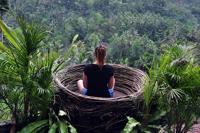 Private Ubud Tour and Volcano Kintamani Trip Review - Experience Highlights